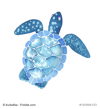 sea life. Watercolor sea turtle isolated on white background